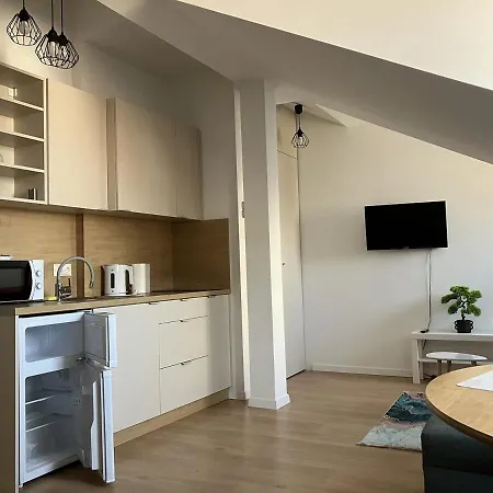 Cozy Penthouse Praga Kamionek * Warsaw