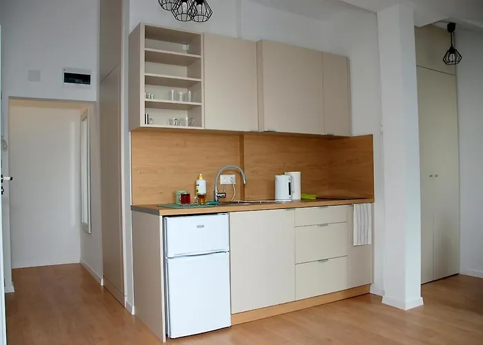 Cozy Penthouse Praga Kamionek *